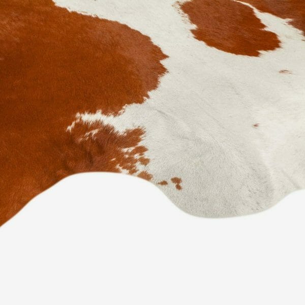 Brown Cowhide Rug Extra Large Size 239 x 231 cm Collection Classic Close Up Photo 1 2 SKUHR00 KARN48 XC8