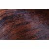 Cowhide Brindle Brown detail photo 8 SKU HR00 RNRN20 PC7