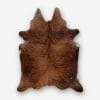 Cowhide Brindle Tan aerial photo 1 SKU HR00 RNCA02 AM7