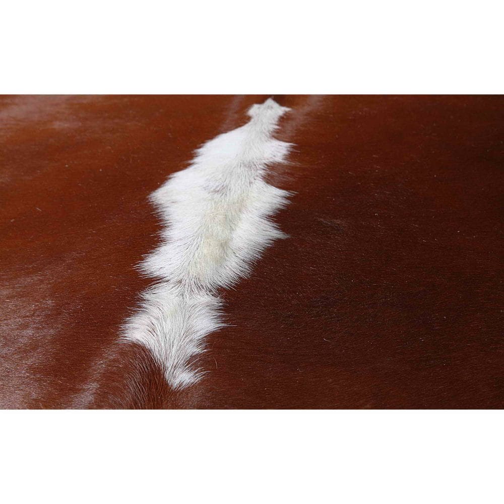 Cowhide Classic Brown detail photo 8 SKU HR00 KARN24 AC3