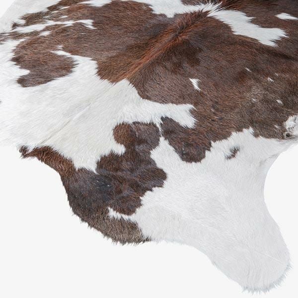 Tan Cowhide Rug Extra Large 225 X 232 Cm Bagé Home